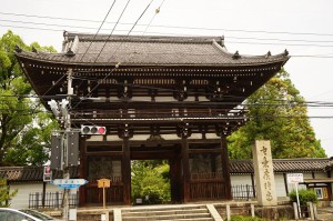 DSC00440