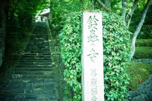 DSC00442