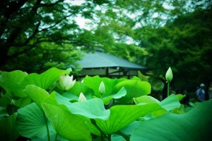 DSC00591
