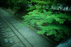 DSC00659